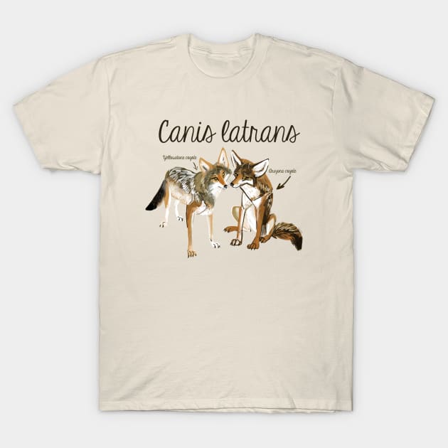 Coyote sales t shirt